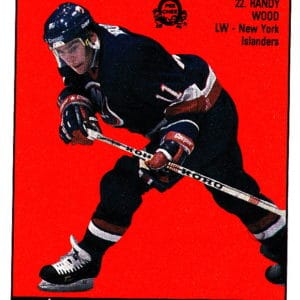 1987 OPC Mini Cards #13-Wayne Gretzky