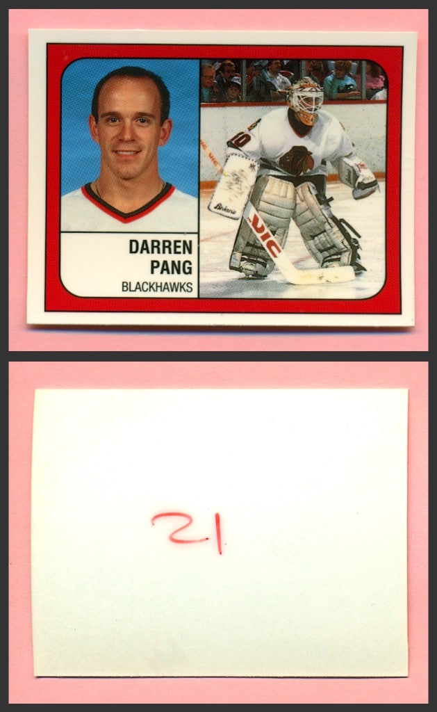  (CI) Darren Pang Hockey Card 1988-89 Panini Stickers 21 Darren  Pang : Collectibles & Fine Art